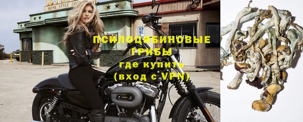 эйфоретик Аркадак
