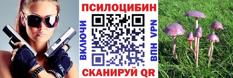 наркошоп Слюдянка Галлюциногенные грибы Psilocybe