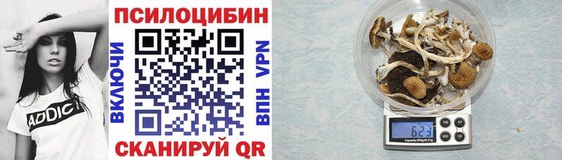 Псилоцибиновые грибы прущие грибы Слюдянка